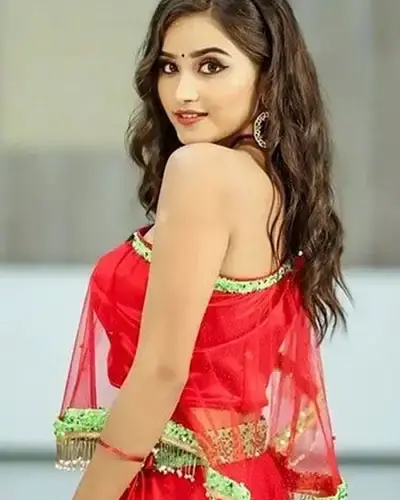 Escort In Chhatargarh